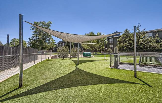 a yard with a hammock in a dog park