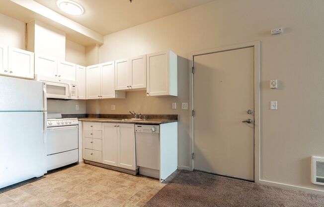 Studio, 1 bath, 438 sqft, $1,100, Unit 1005