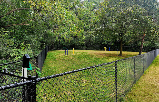 a chain link fence around a field with trees