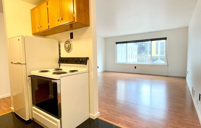 Studio, 1 bath, 464 sqft, $1,425, Unit 304