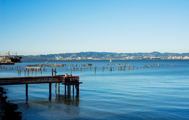 Enjoy scenic views of the bay