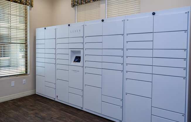 Secure Package Lockers at Apartments in Mesa, AZ