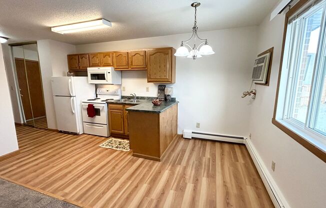 Studio, 1 bath, 430 sqft, $685, Unit 137