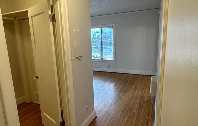 Studio, 1 bath, 330 sqft, $1,095, Unit 306