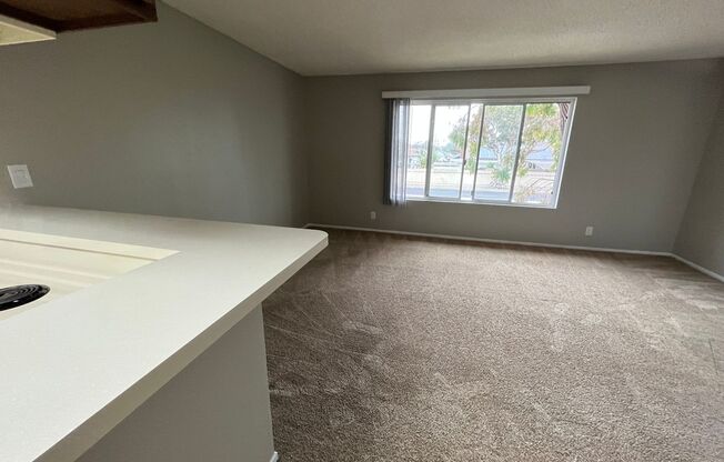 1 bed, 1 bath, 562 sqft, $2,050, Unit 138