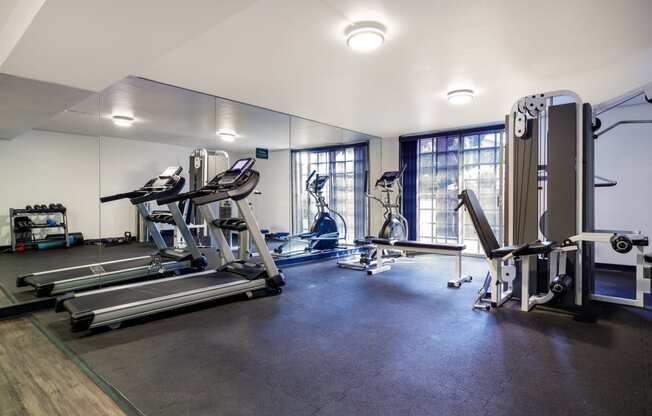 a gym with cardio machines and weights on the floor and a large window