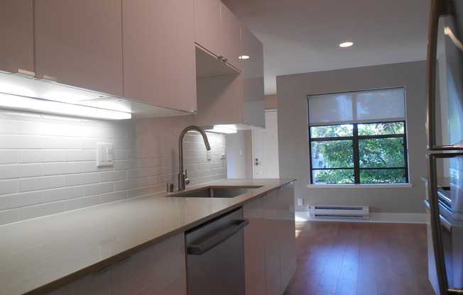 Newly Remodeled Condo Unit