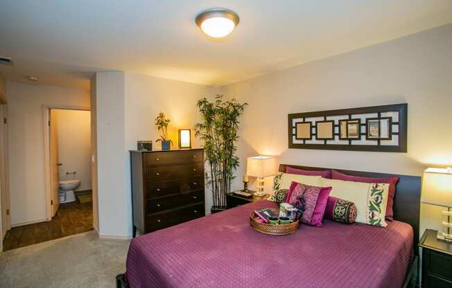 Downtown Vancouver Apartments with Spacious Bedrooms