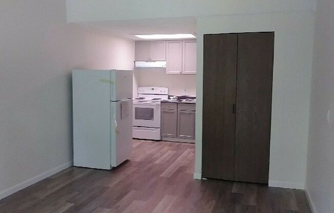 1 bed, 1 bath, 283 sqft, $580, Unit 1809