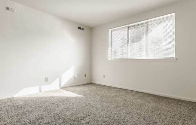 A room with a carpeted floor and a window with blinds.