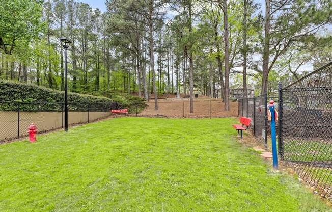 a grassy area with a fence and a red fire hydrant