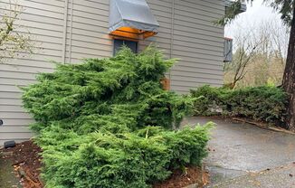 Interlakken Apartments