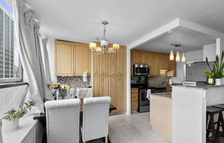 1455 N SANDBURG TER