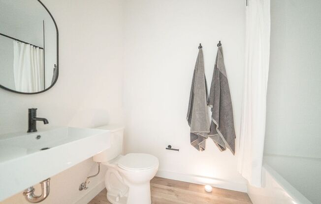 Studio, 1 bath, 349 sqft, $1,236, Unit 206A