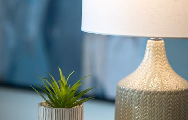 a table with a lamp and a plant on top of books