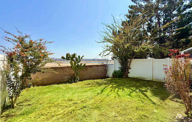 A fenced backyard with a lush green lawn.