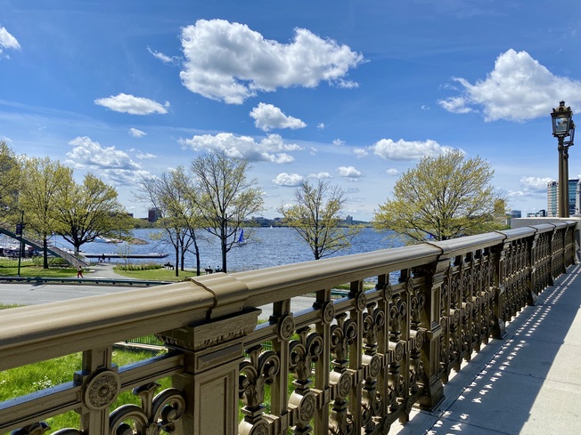 The Charles River in Beacon Hill