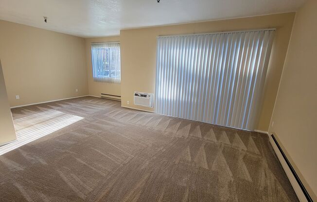 Studio, 1 bath, 500 sqft, $2,050, Unit 503