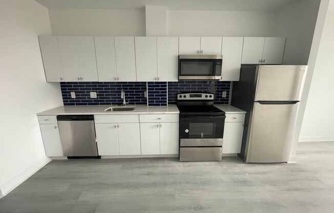 1600 West Hunting Park - Residential