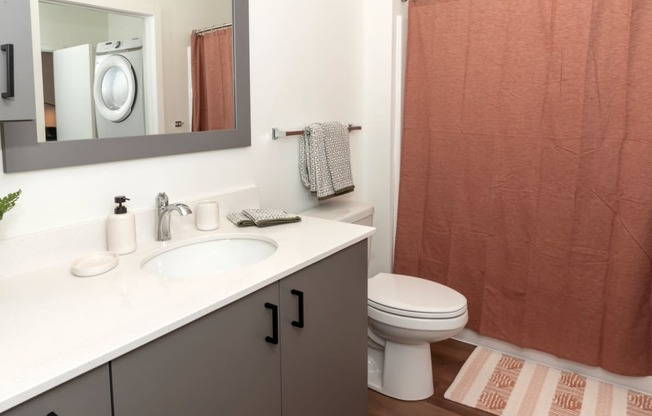 a bathroom with a toilet and a sink and a mirror