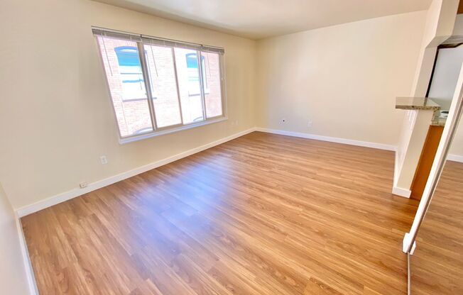 Studio, 1 bath, 308 sqft, $1,295, Unit 304