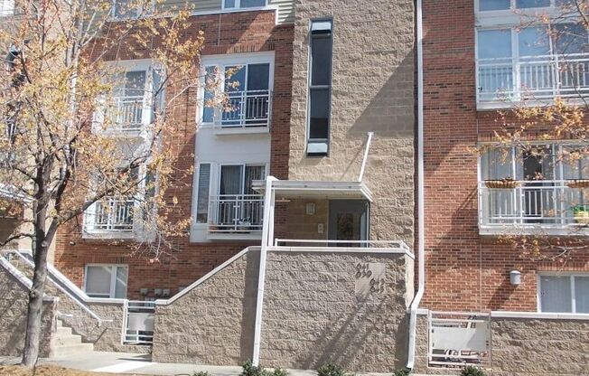 Awesome 2 Bed Condo in Desired NODA - The Renaissance