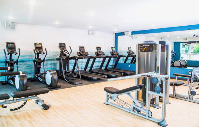 Vibrant fitness center within the apartment complex, equipped with modern amenities. The image captures a well-lit space filled with state-of-the-art exercise equipment, including treadmills, elliptical machines, and an array of free weights.