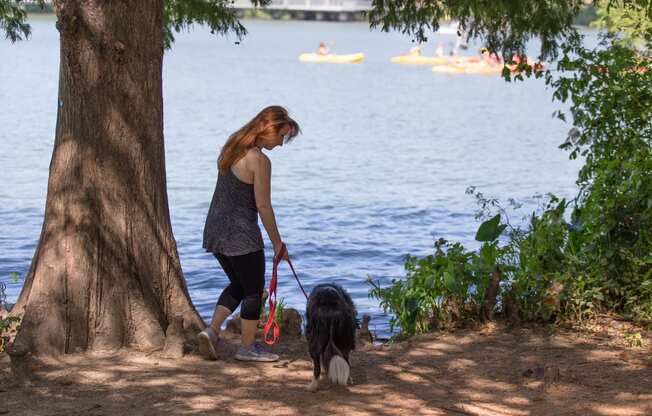 Our canine friends enjoy the lake and the dog-friendly venues on Rainey