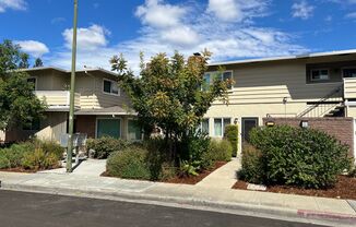 Upgraded 2 bed 1 bath Condo in Mountain View.