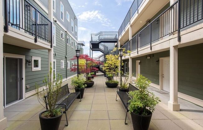 Top Floor Studio, Close To Greenlake