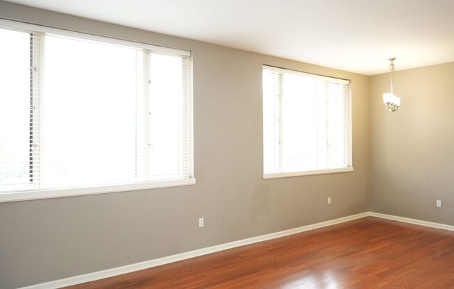 1 bed, 1 bath, 710 sqft, $1,615, Unit Apt #202