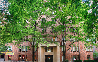 1 bed, 1 bath, 550 sqft, $1,400, Unit 502