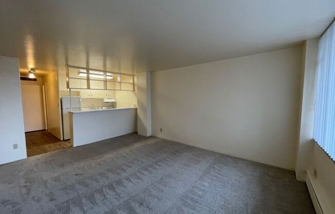 Studio, 1 bath, 360 sqft, $995, Unit 409