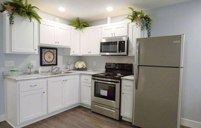 1 bed, 1 bath, 500 sqft, $849, Unit Newly