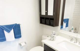 Renovated Bathroom at Westwood Meadows - SP Westlake 27825 Detroit Apartments, Integrity Realty LLC, Westlake, OH