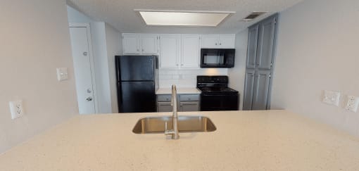 a kitchen with a sink and a black refrigerator