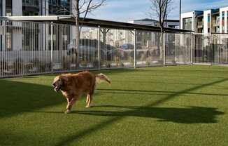 Modern Grand Prairie Apartments For Rent