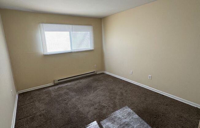 1116 Irving Ave