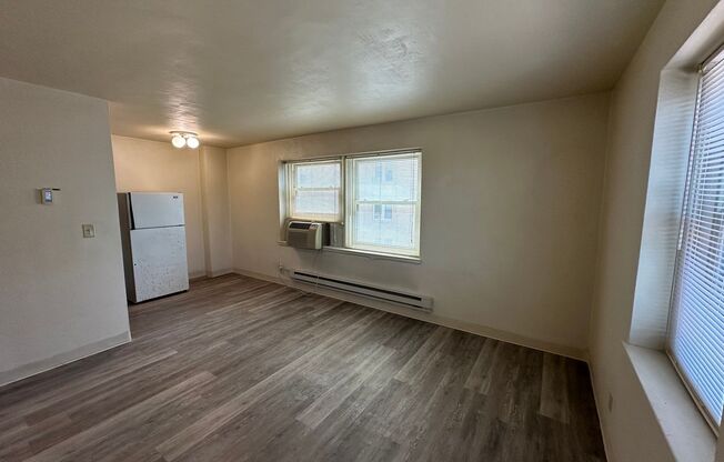 1 bed, 1 bath, $875, Unit 208
