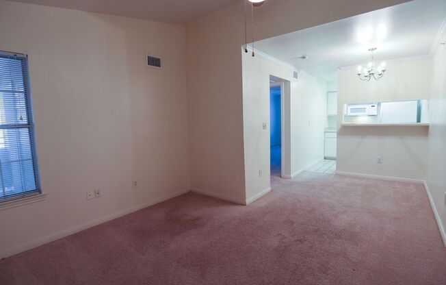 1 bed, 1 bath, $1,250
