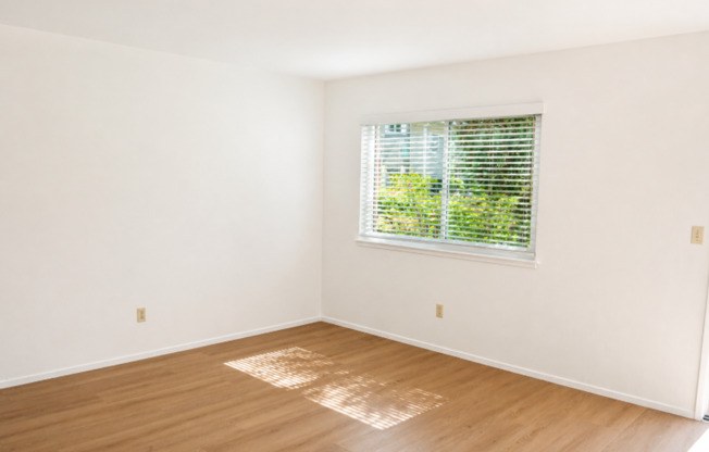 31 REED BLVD