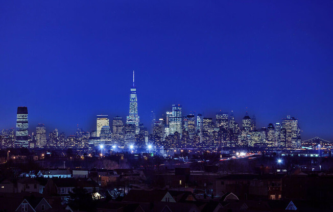 a view of the chicago skyline at night