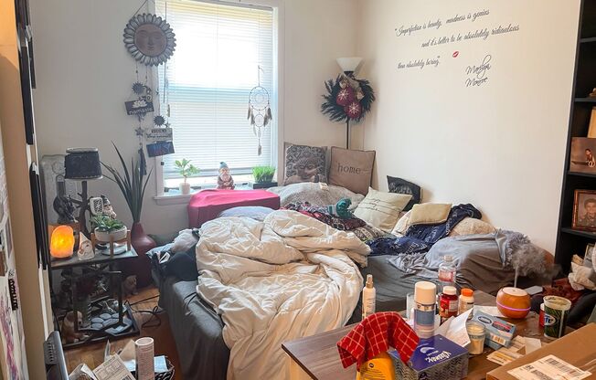 Studio, 1 bath, 225 sqft, $1,125, Unit 4615-2I