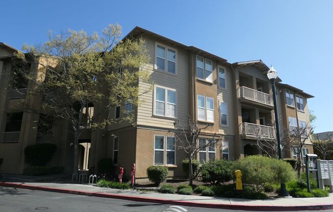 212 Pacifica Blvd #202. Watsonville, CA 95076 - Studio apartment