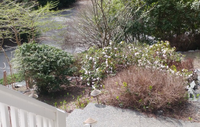3 beds, 2 baths, $3,600