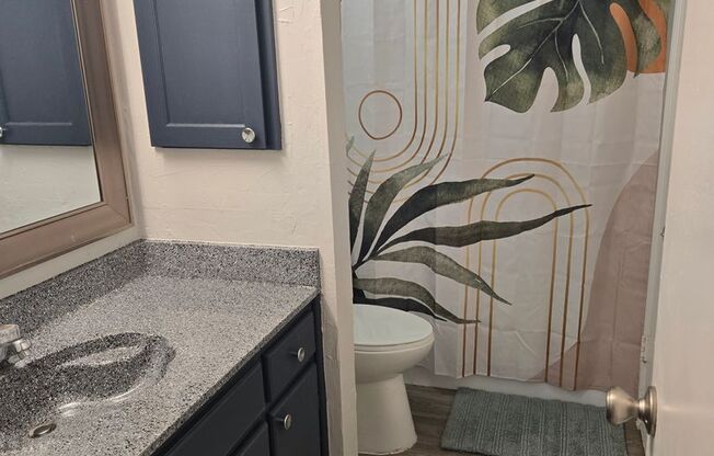 1 bed, 1 bath, 701 sqft, $1,300