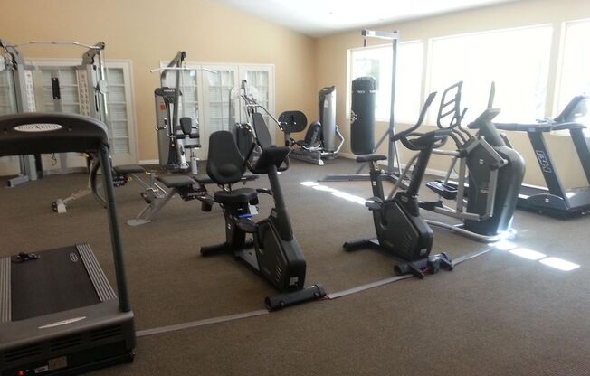 Beautiful Downstairs 3 Bedroom