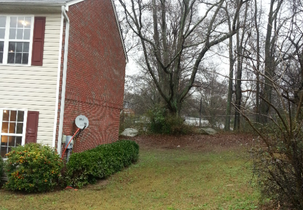 8313 MAX CT
