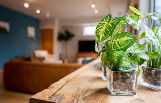 a wooden table with plants on it