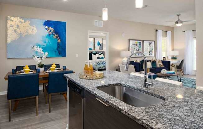 M South Apartments Model Kitchen